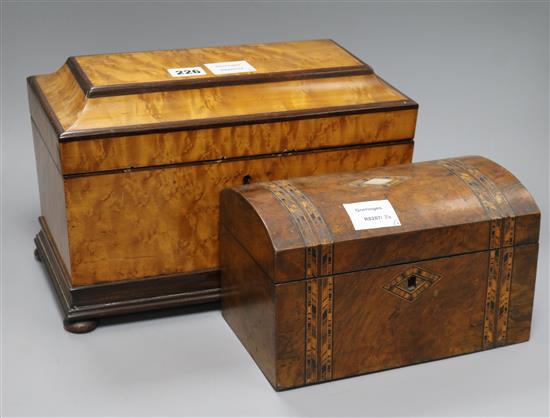 A birds eye maple tea caddy and a walnut caddy longest 33cm